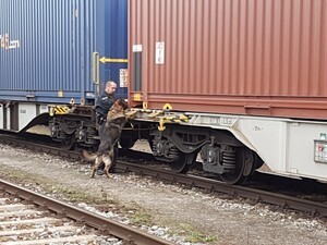 Die Bundespolizei suchte nach weiteren versteckten Migranten in den Containern mit der Hilfe von Spürhunden., © Foto: Bundespolizei