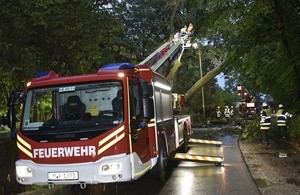 Mit einem Kran musste der Baum in München (Rudorffstrasse) gesichert werden., © Foto der Berufsfeuerwehr München
