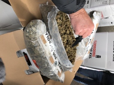 Drogen, Marihuana, Gras, Rauschgift, Zoll, © Zoll-Pressesprecher Christian Schüttenkopf überprüft die Ladung.