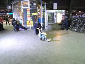 Am Münchner Hautpbahnhof haben 2000 Polizisten und Sanitäter den Krisenfall, zum Beispiel bei Anschlägen geprobt.