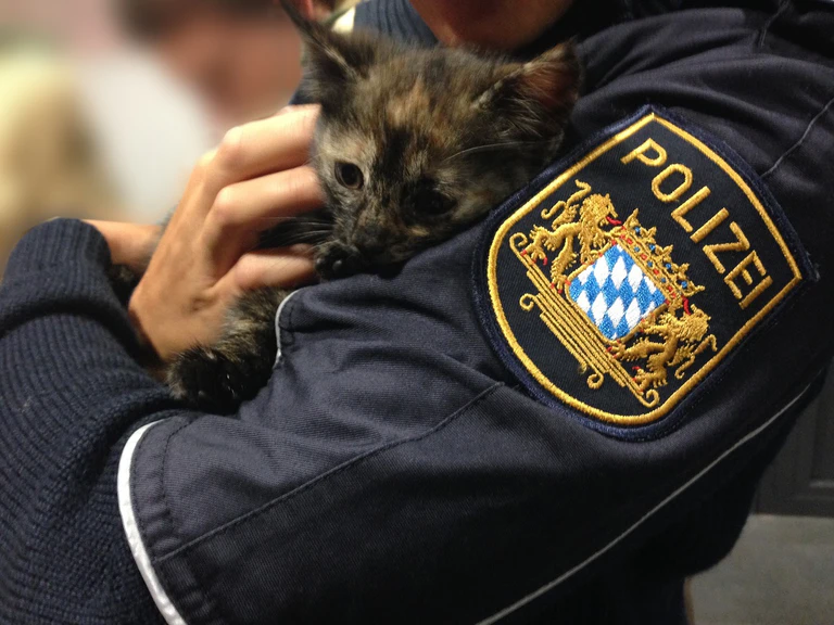 Heute wurde eine Katze aus dem Altstadttunnel gerettet. — © Foto: Polizei München
