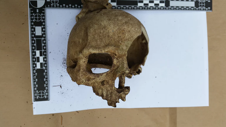 Plastik Totenschädel liegt auf Tisch — © Foto: Polizeipräsidium München