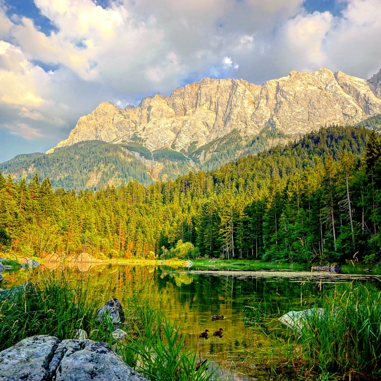 Alpen im Raum München — © Grüne Landschaft vor den Alpen Foto: <a href="http://portraitiert.de/" target="_blank"> Dirk Schiff/Portraitiert.de </a>