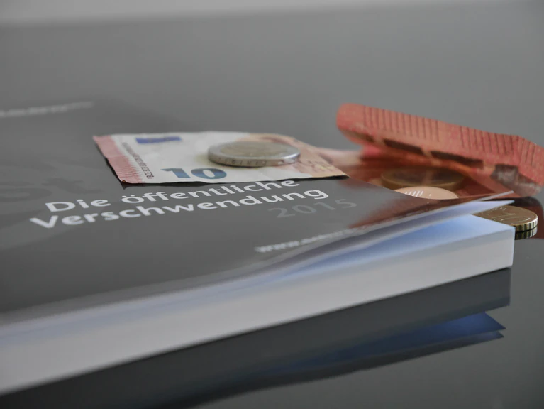 Schwarzbuch über Steuerverschwendung — © Schwarzbuch über Steuerverschwendung