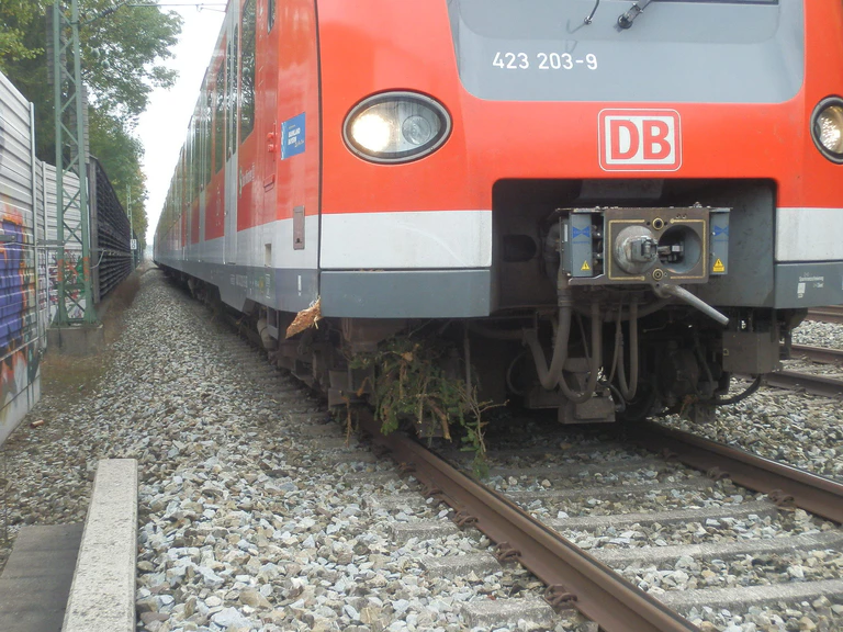 Gefällter Baum, S-Bahn, Gleise — © Gefällter Baum stürzt auf S-Bahn Gleise - Symbolfoto