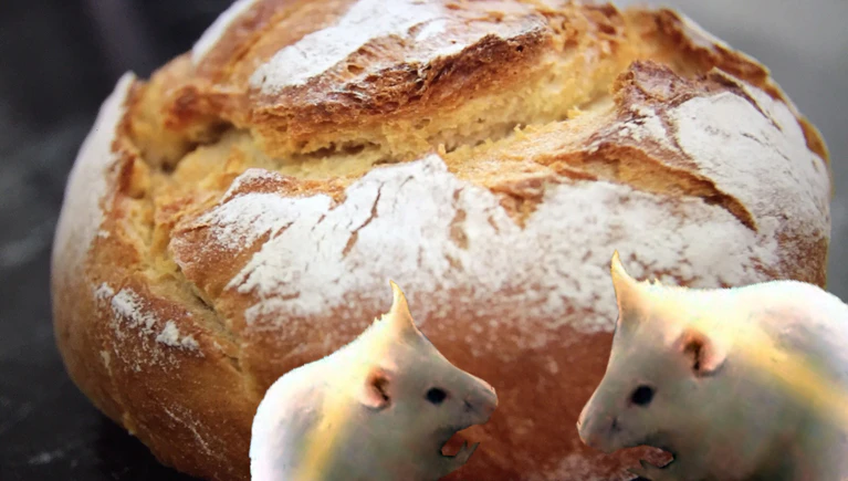 Skandal: Müller Brot