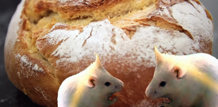 Skandal: Müller Brot