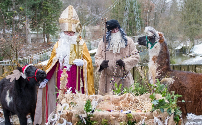 Nikolaus und Krampus mit einem Lama im Tierpark Hellabrunn — © Foto: Tierpark Hellabrunn