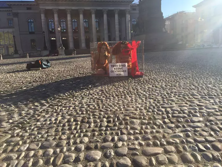 — © Zwei sexy Hunde wollen darauf aufmerksam machen, dass Tiere keine Weihnachtsgeschenke sind.