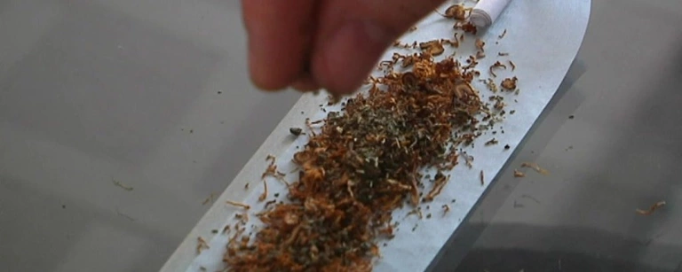 marihuana joint gras cannabis