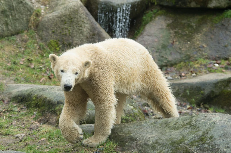 — © Foto von Nela - Sebastian Widmann Tierpark Hellabrunn