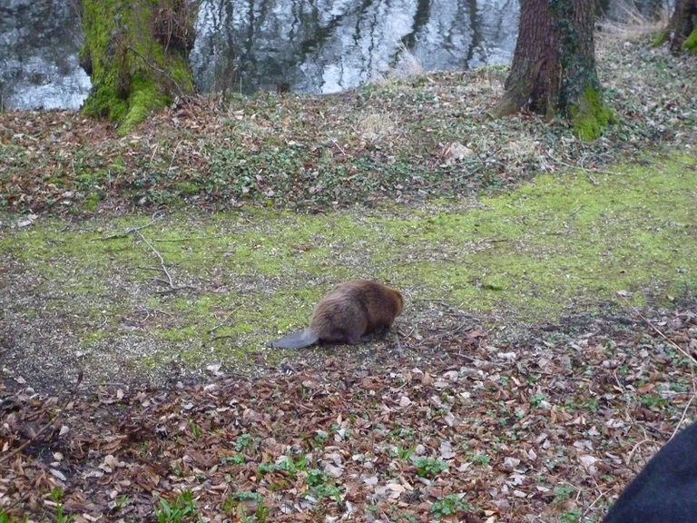 — © Foto: BUND Naturschutz