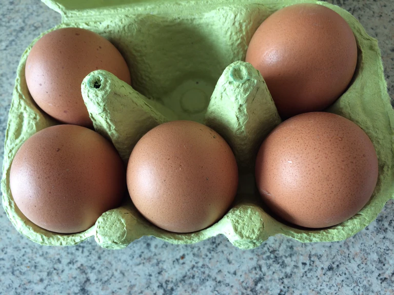 Ei, Eier, Hühnerei, Huhn, Schale, Eierschale,