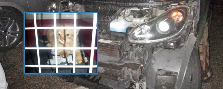 — © Um die Katze zu befreien, musste der Smart aufwändig "zerlegt" werden - Foto: Polizei