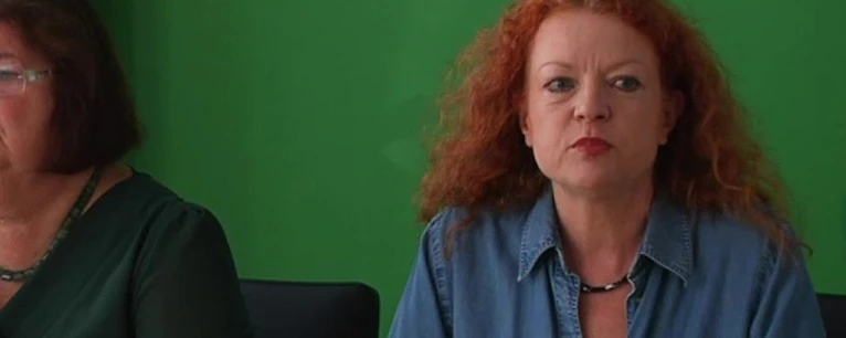  — © Grünen-Fraktionschefin Margarete Bause gibt ihr Amt ab - Archivbild