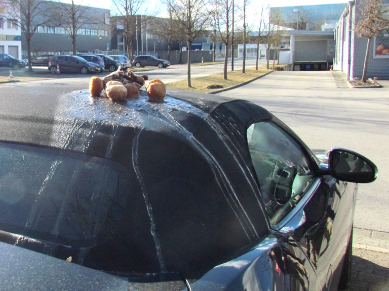 In Pöring entdeckte ein Cabrio-Fahrer einen Entenbraten auf dem Dach seines Wagens.
