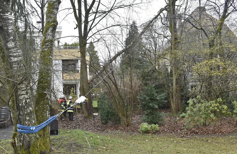 Baum nach Sturmtief Eckhart von Feuerwehr gesichert — © Foto: Berufsfeuerwehr München