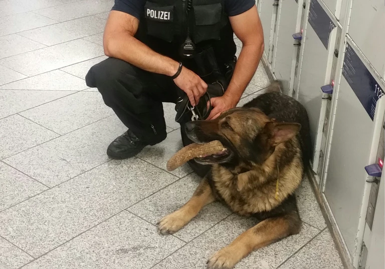 — © Foto: Bundespolizei