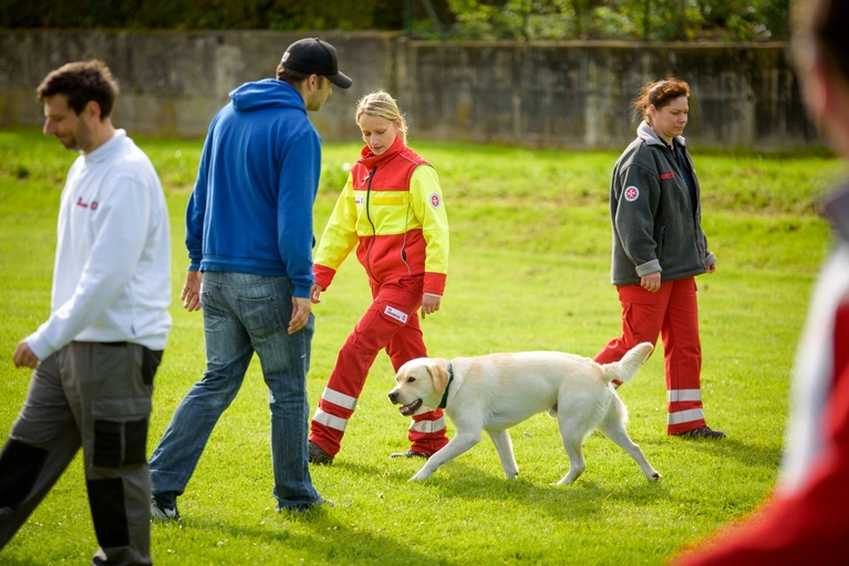 Johanniter, Rettungshund, Hund — © Foto: Saskia Rosebrock