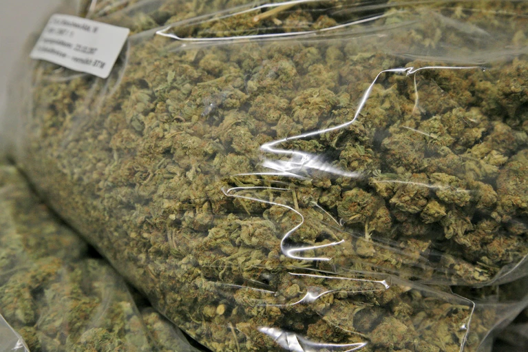 Marihuana im Beutel sichergegestellt — © Symbolfoto vom Zoll