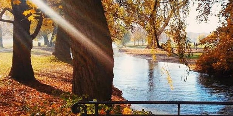 Herbst im Englischen Garten in München