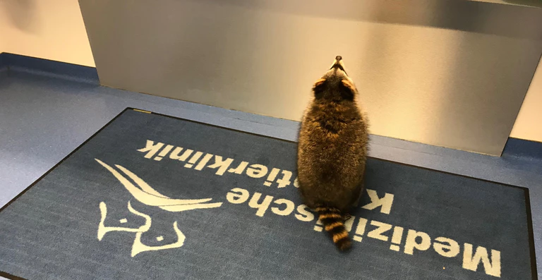  — © Foto: Medizinische Kleintierklinik