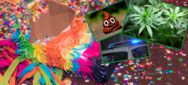 Kurios, Polizei, Einsätze, Feuerwehr — © Symbolbild