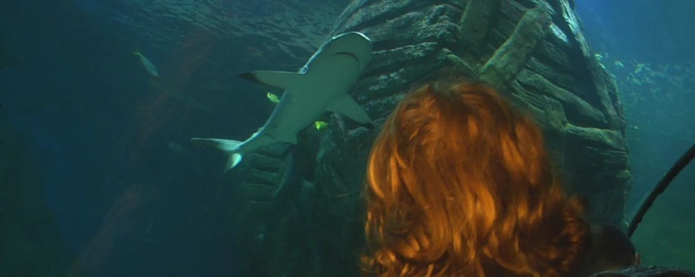 Inventur im Sea Life München