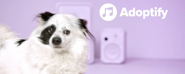 adoptify hunde per musikgeschmack finden