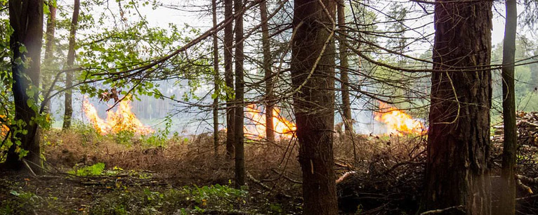 Waldbrand  — © Symbolfoto