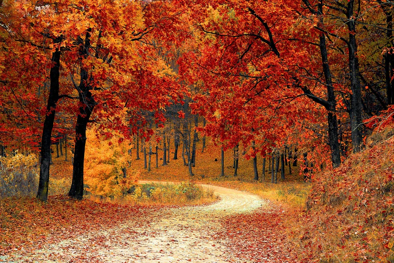 Acht Gründe, um sich auf den Herbst zu freuen