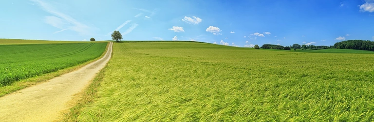 Der Spätsommer kehrt nach Bayern zurück