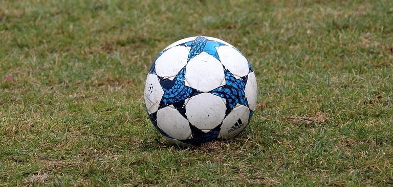 Fussball auf dem Rasen — © Symbolbild