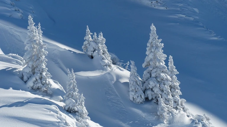 Winterlandschaft — © Symbolbild