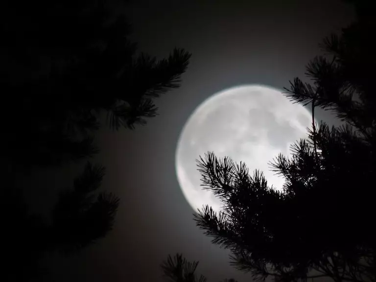 Mond, Supermond, Himmel, Freinacht