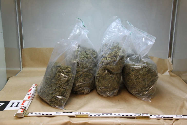 Marihuana-Pflanzen-Bayern — © Symbolfoto. Foto: LKA