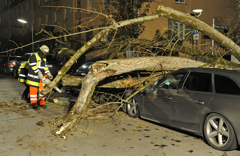 Umgestürzter Baum auf Straße nach Sturm — © Symbolbild - Foto: Berufsfeuerwehr München 