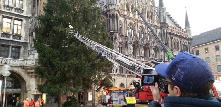 christbaum weihnachtsbaum marienplatz