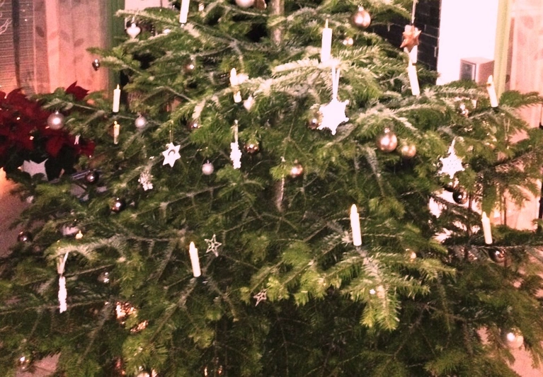 Weihnachten 2016: Christbaum — © Weihnachten 2016: Christbaum