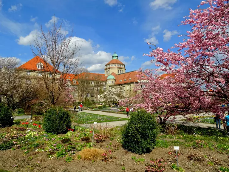 Botanischer Garten, Frühling — © Sonnenschein im Botanischen Garten. Bild: Agnes aus München
