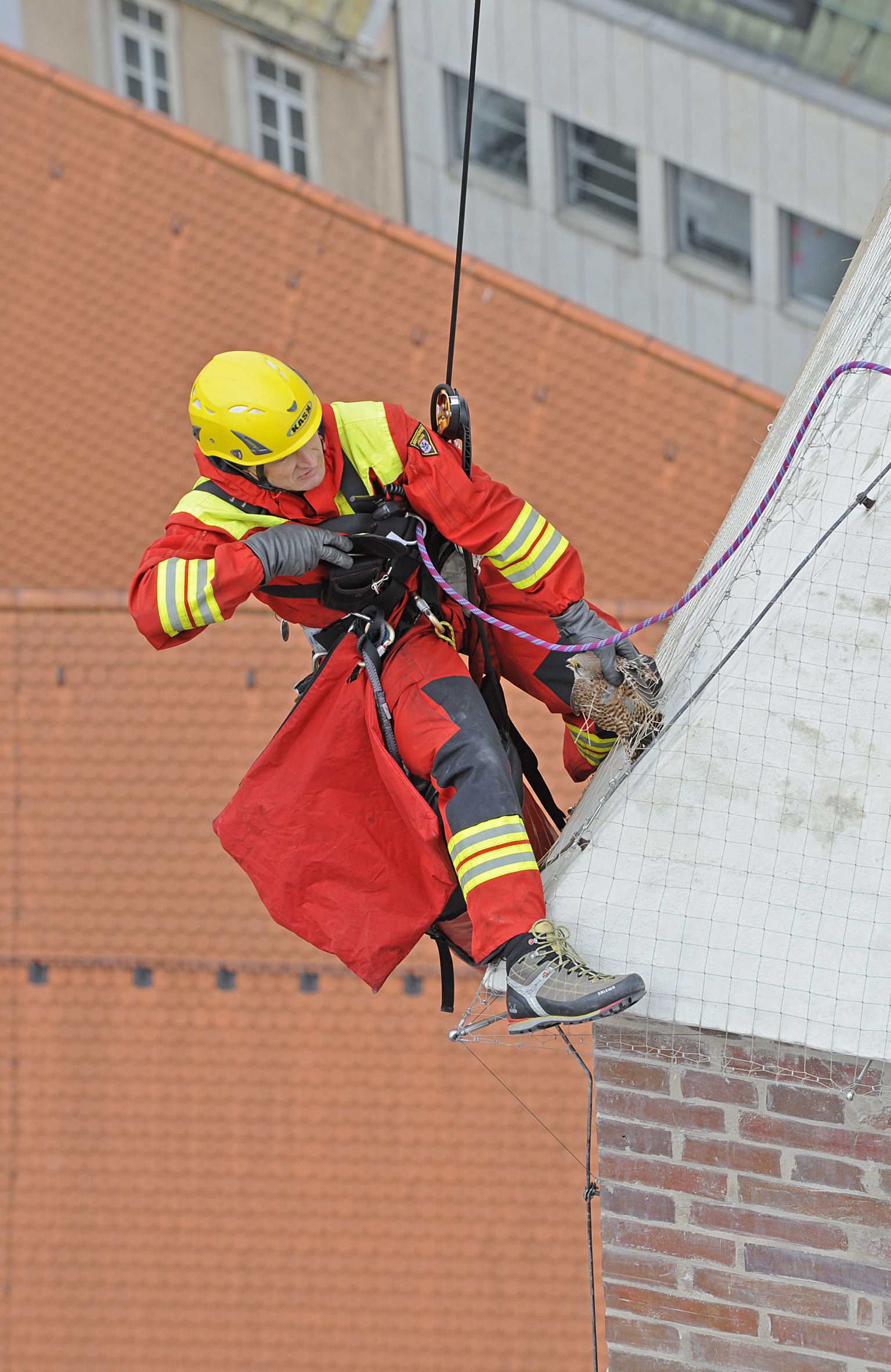 Feuerwehr Rettet Turmfalke auf Frauenkirche in München, Foto der Berufsfeuerwehr München