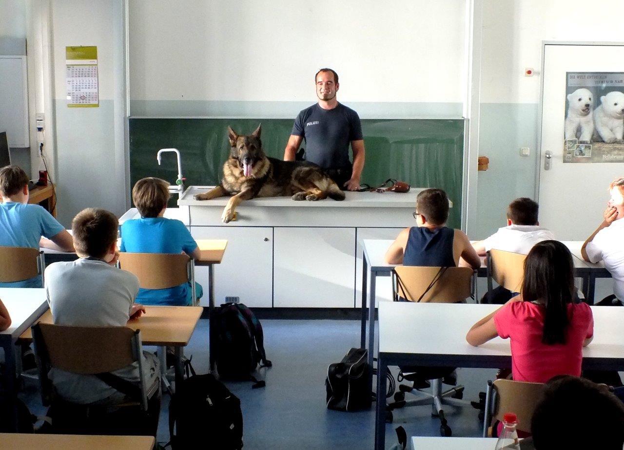 Der Spührhund im Unterricht in München, Der Spührhund für alle gut sichtbar - Foto: Polizei