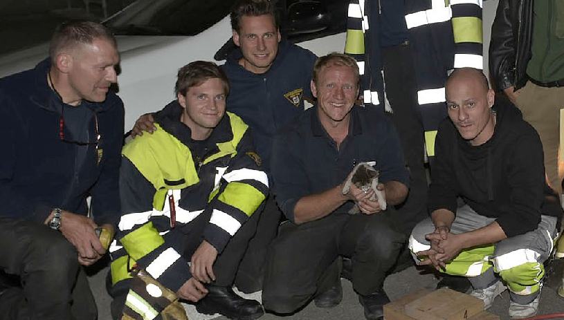 Feuerwehrmänner halten das Katzenbaby in die Kamera, Foto: Berufsfeuerwehr München