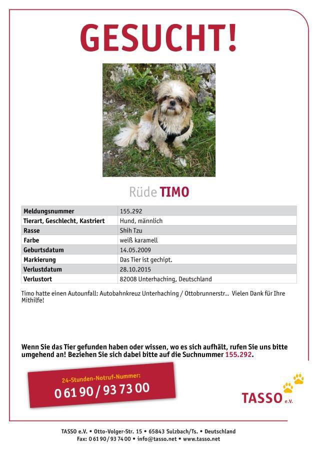 Vermisster Hund