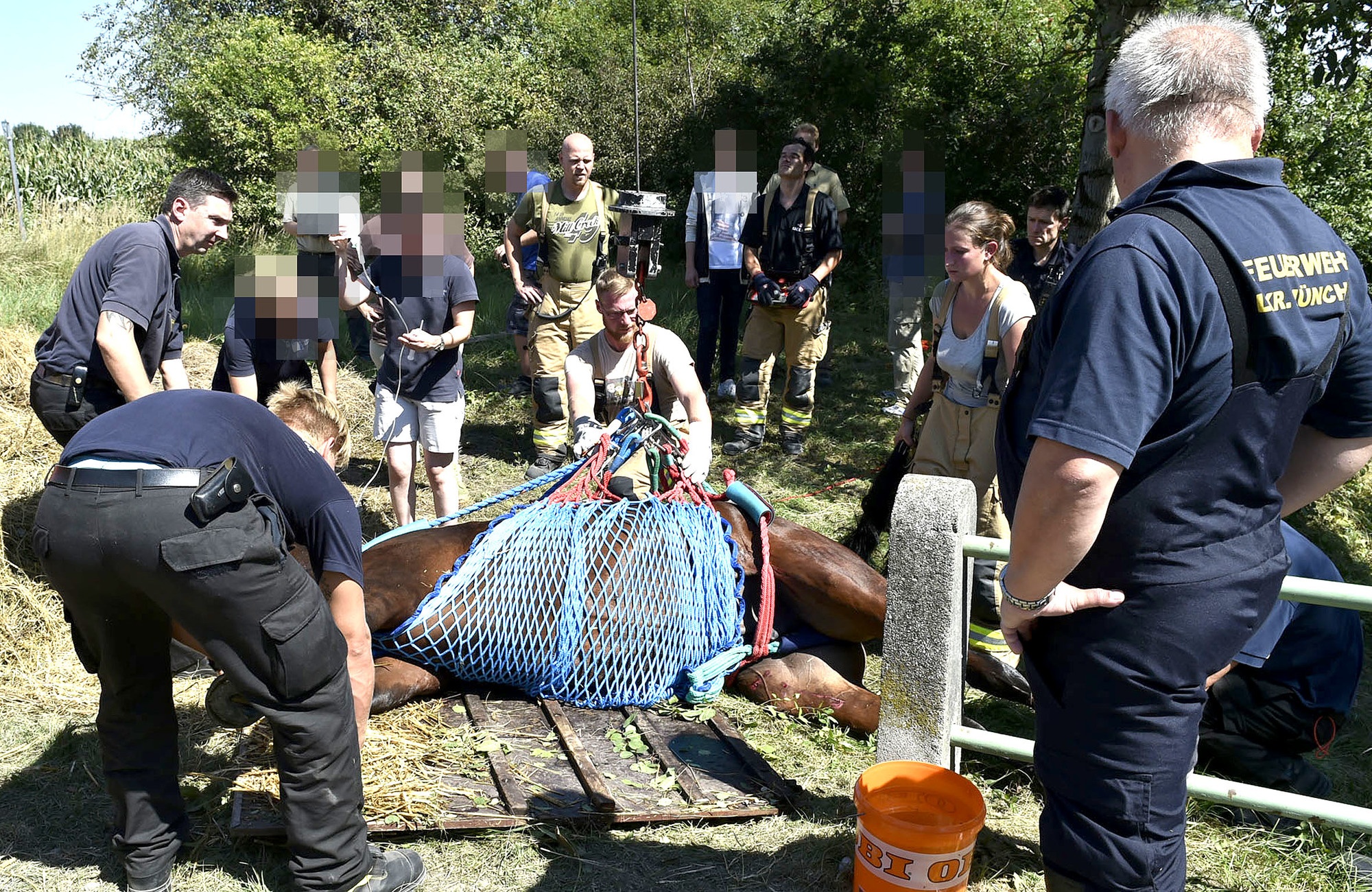 Pferd aus Wassergraben gerettet, Foto: Berufsfeuerwehr München