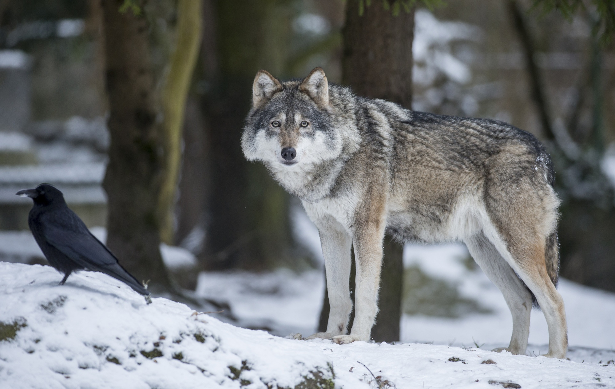 Foto: Marc Müller