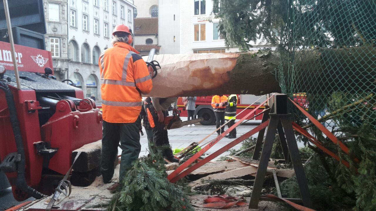 weihnachtsbaum christbaum marienplatz