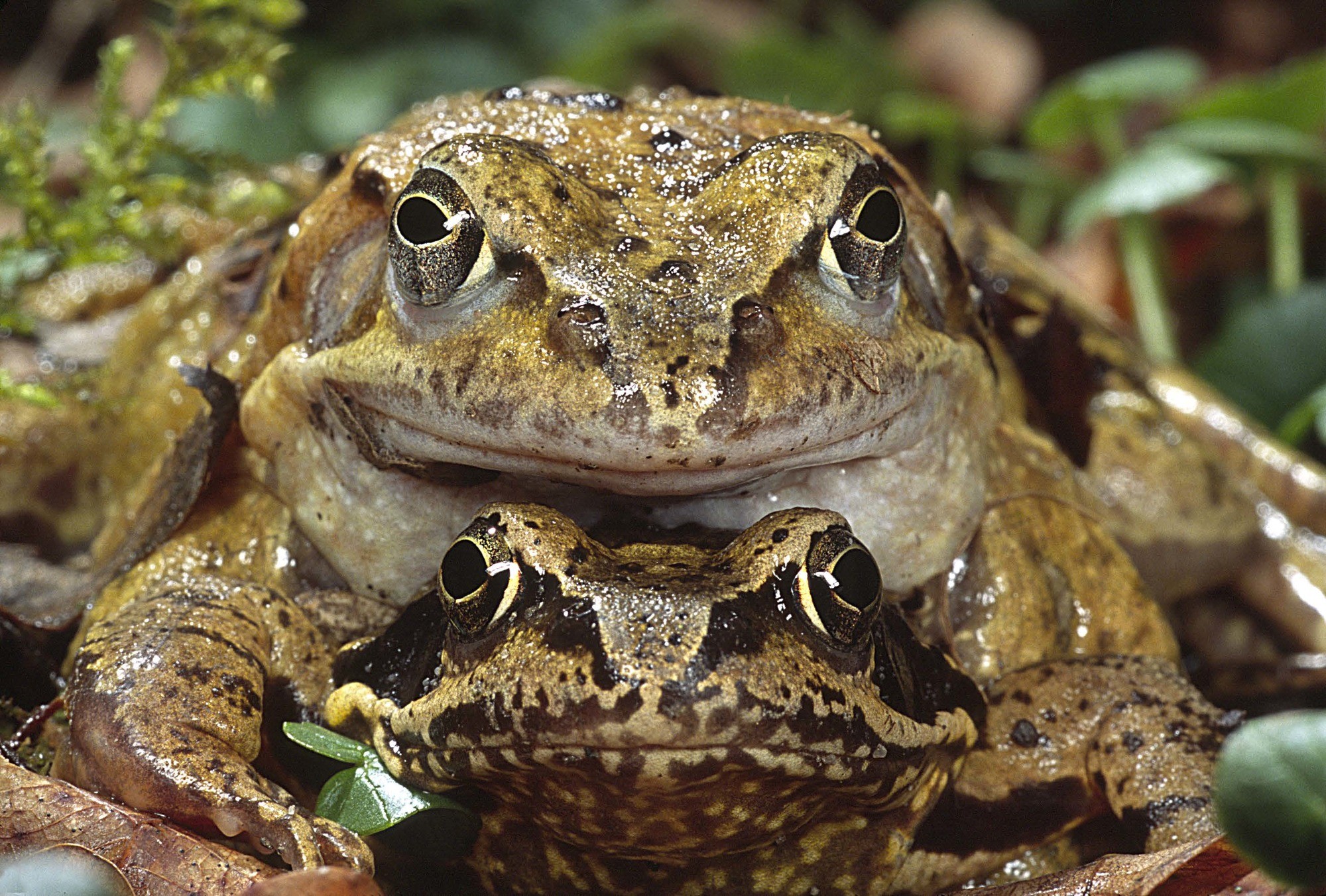 Foto: Wolfgang Willner