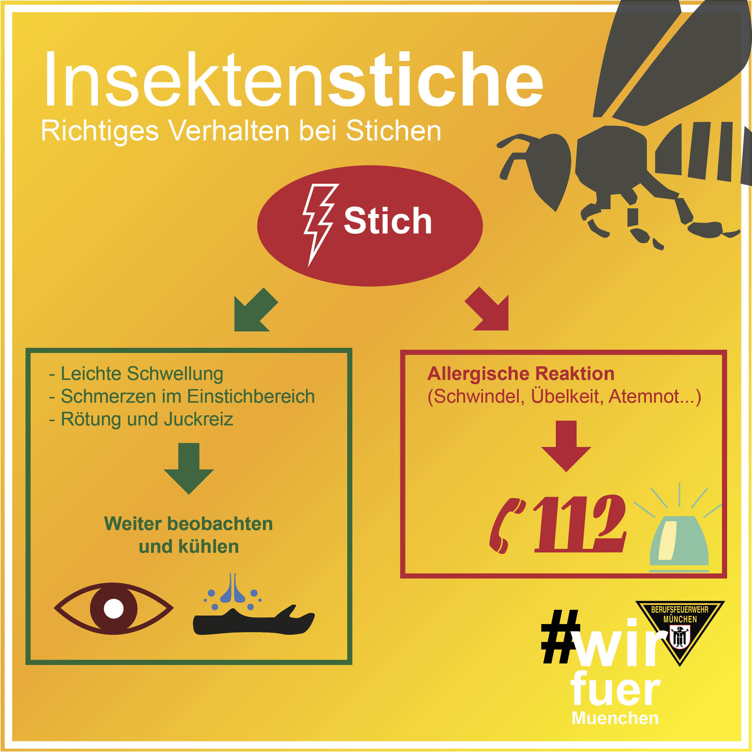 Das Verhalten bei Stichen, Grafik: Berufsfeuerwehr München