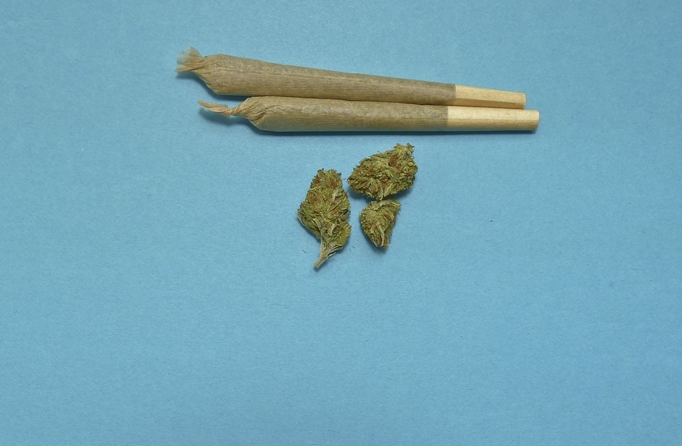 Marihuana-Joint, Symbolbild